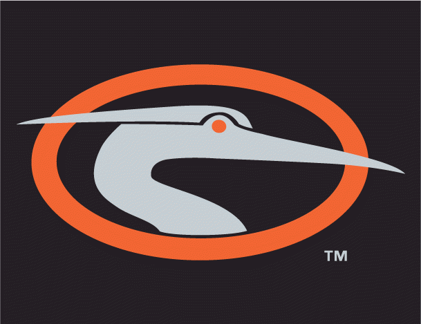 Delmarva Shorebirds 2010-Pres Cap Logo 3 iron on paper